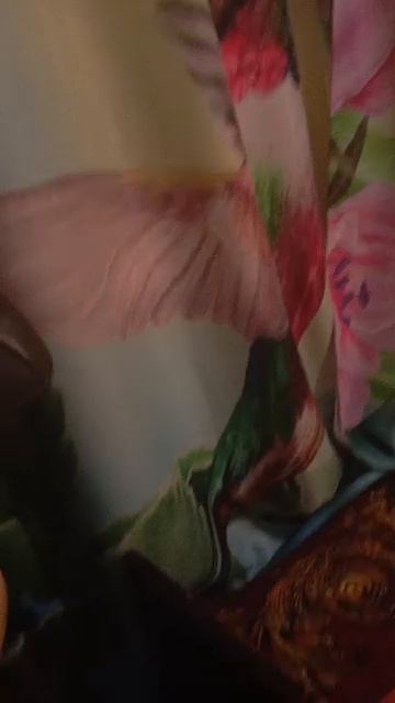 стрим разговорный смотреть онлайн