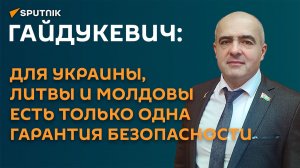 Гайдукевич: для Украины, Литвы и Молдовы есть только одна гарантия безопасности