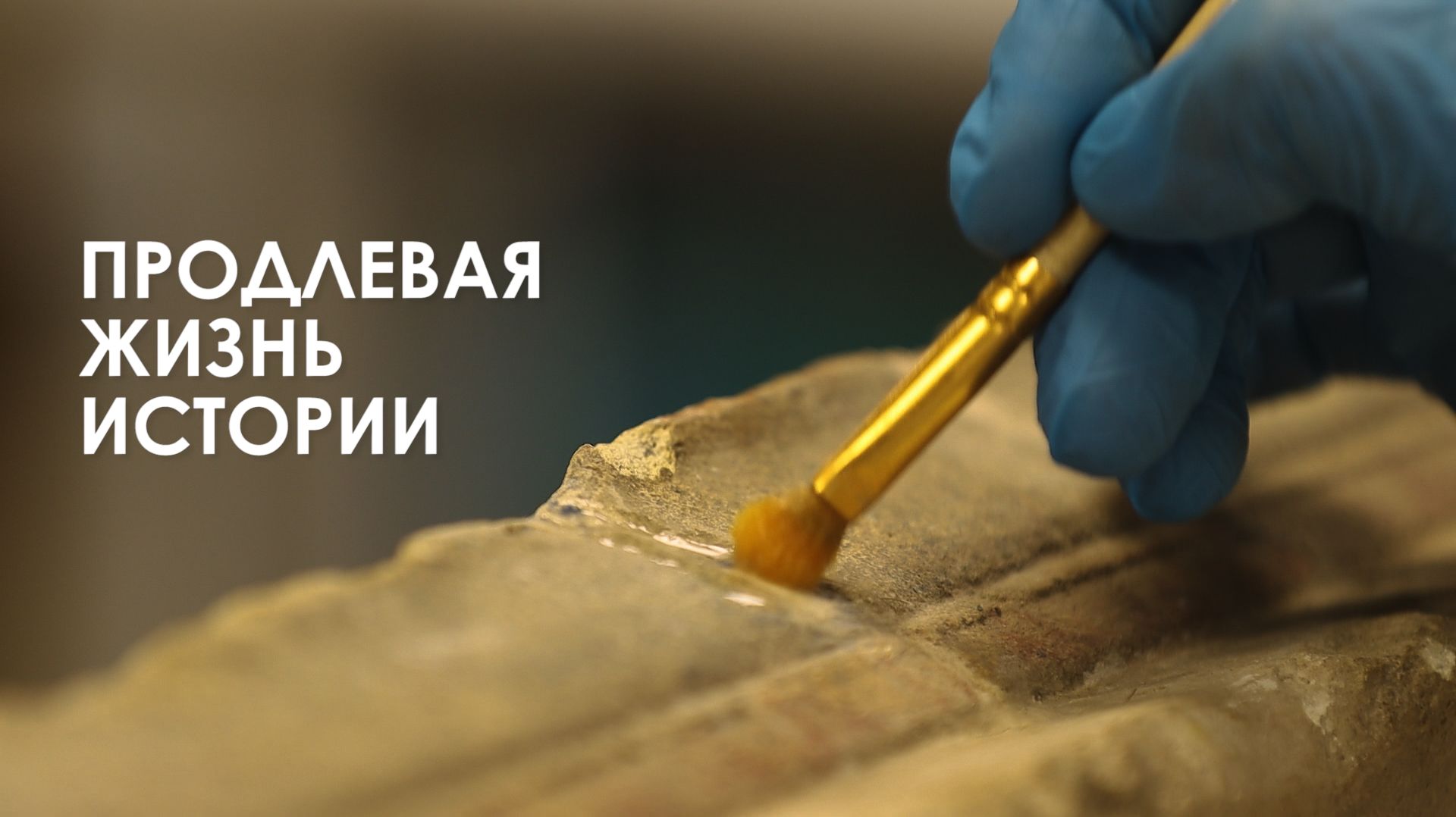 Продлевая жизнь истории смотреть онлайн