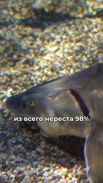 Для чего существует сила разрушения? #саморазвитие #мышление #путь #сила #мироздание Для чего существует сила разрушения? #саморазвитие #мышление #путь #сила #мироздание