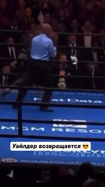 Ждём Уайлдера на ринге 🤩