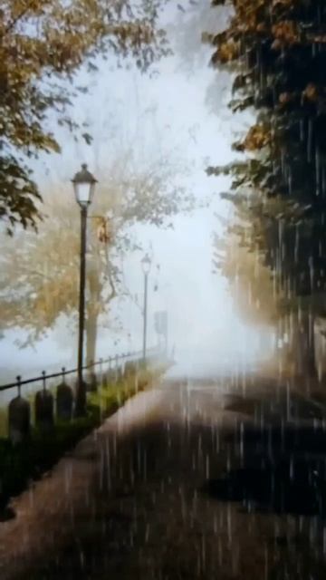 Марина Цветаева. Мне нравится что вы больны не мной… Читает Резникова. Ю.