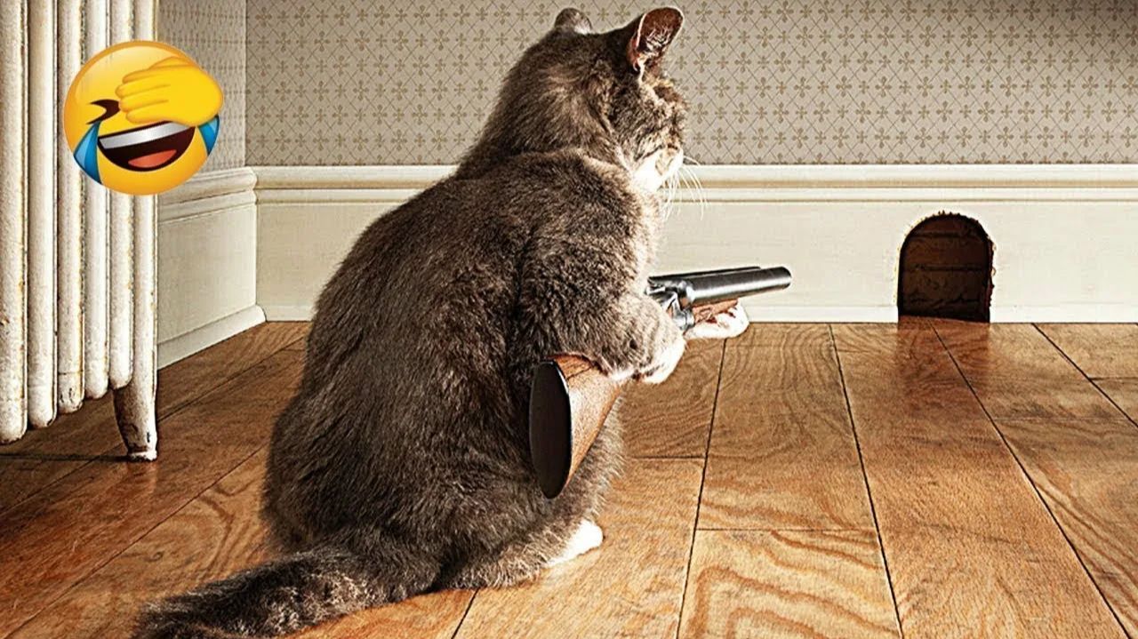 Смешные и забавные животные 😻😺 Лучшие приколы с животными 🐶 Подборка приколов с животными смотреть онлайн