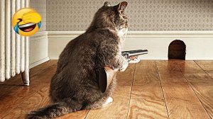 Смешные и забавные животные 😻😺 Лучшие приколы с животными 🐶 Подборка приколов с животными