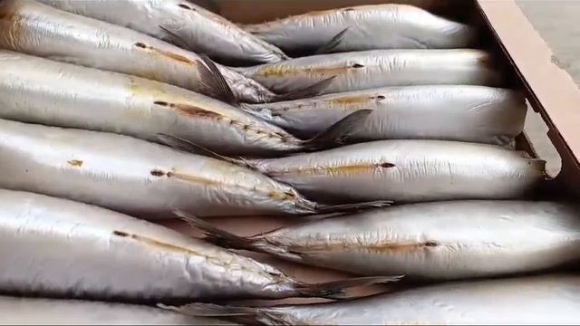 Скумбрия провесная С/С смотреть онлайн