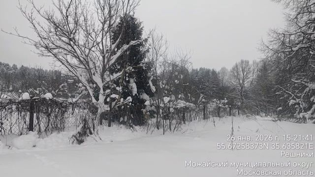 д. Бурмакино 50:18:0050410:987