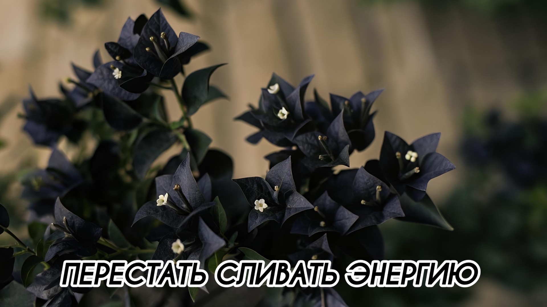 ПЕРЕСТАТЬ ВПУСТУЮ СЛИВАТЬ ЭНЕРГИЮ #притяжение #энергияжизни #внутреннийрост #гармония