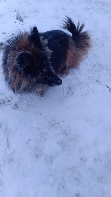 Вот так и живём в деревне