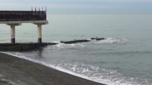 Адлер У Черного моря Январь 2026