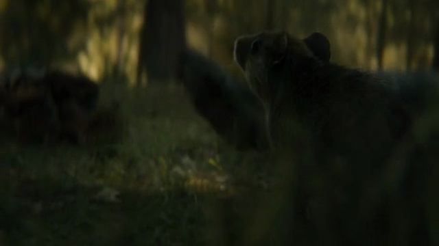 хищник Vs змея