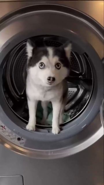 Какой милый космонавт ☺))