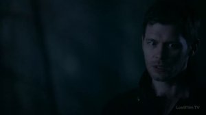 Первое оброщение Хоуп в волка.