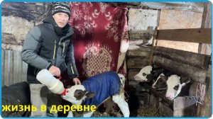 ТАКОЙ МОРОЗ НЕ ВЫДЕРЖИВАЮТ НИ МАШИНЫ НИ ПТИЦЫ А МЫ РАМШИРЯЕМСЯ, ЖИЗНЬ В ДЕРЕВНЕ