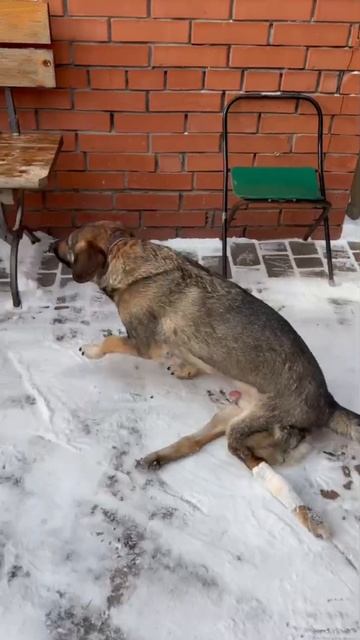 Пуля — не приговор. Шурик проходит  профильную реабилитацию, и может у малыша есть ещё шанс пойти