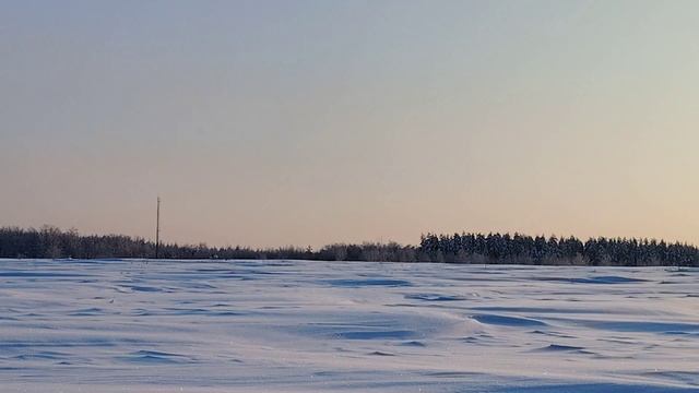 Морозное утро ( 4 февраля)