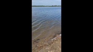 Фидер Интересно. Ловим язя.