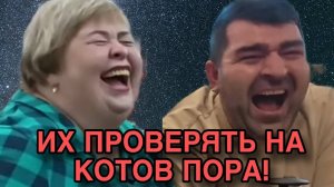 ПОРА ПРОВЕРЯТЬ НА КОТОВ. ОЛЬГА УРАЛОЧКА LIVE. ОБЗОР.
