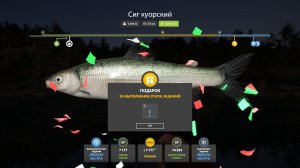 Русская Рыбалка 4-Новогодние Экстра Задания 2026: Сиг куорский оз. Куори