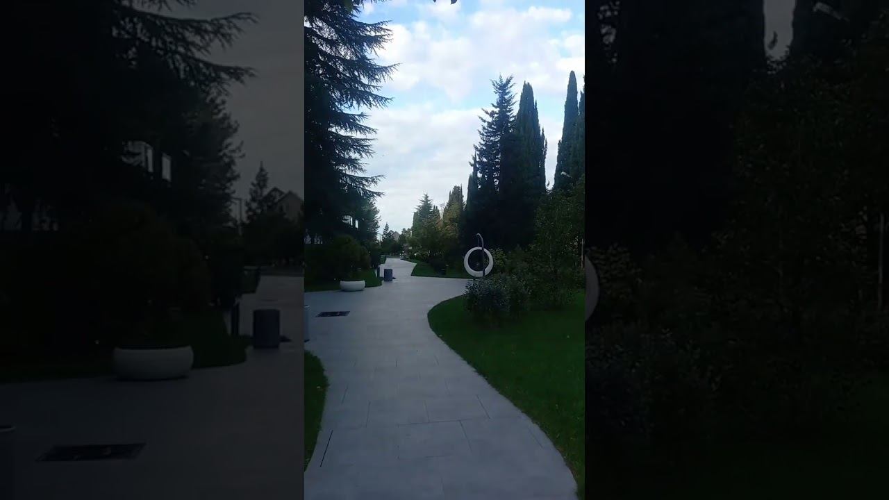 Просто зимний Адлер. #сочи #адлер #море