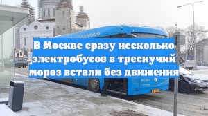 В Москве сразу несколько электробусов в трескучий мороз встали без движения