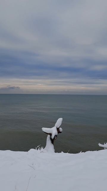 #геленджик #январь2026геленджик