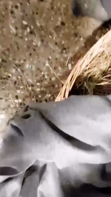 Природа исцеляет смотреть онлайн