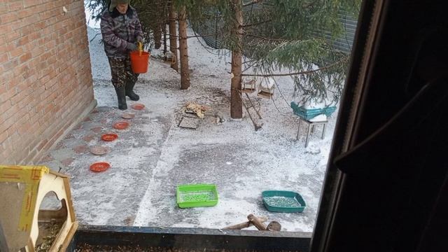 уборка зоопарка