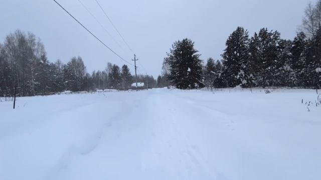 document_5195416823218082544