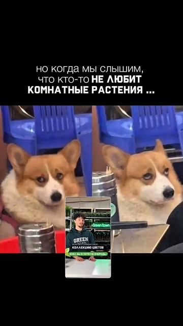 Не нам судить, но мы осудим…