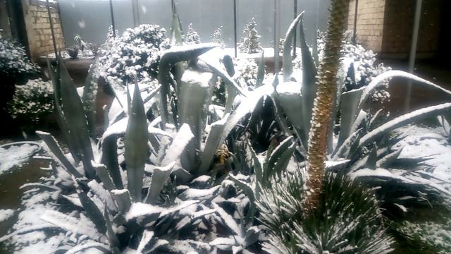 09 Yanvar 2023 — həyətimiz