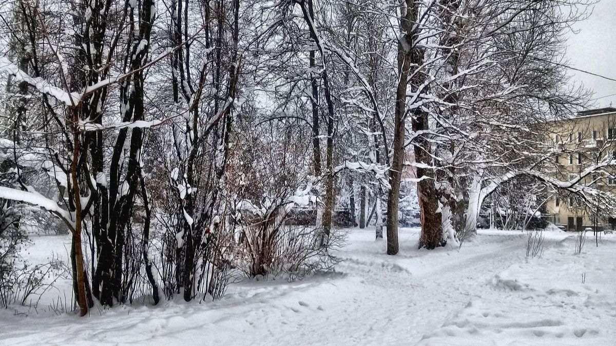 Снег, снег, снег... смотреть онлайн