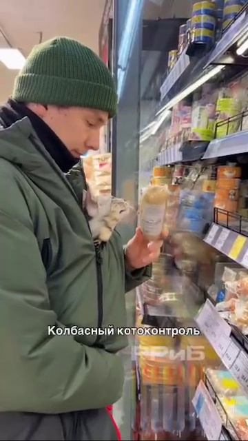 Котоконтроль московских магазинов