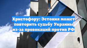 Христофору: Эстония может повторить судьбу Украины из-за провокаций против РФ