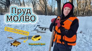 Пруд Молво зимой: Как живут рыбы подо льдом? Подводные тайны через объектив дрона