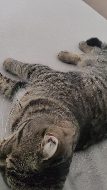 Снова всё сложно. Но надо верить в чудеса!