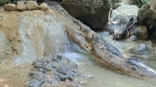 Здравствуйте ТНВ 02.02.2026 смотреть онлайн