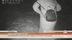 В Мордовии в тёмном лесу едва не погибла женщина