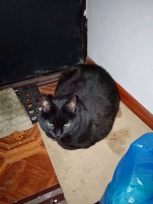 Тортик своими руками за 15 минут