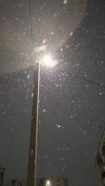 🌨️❄️Зимняя сказка под светом фонаря🏮💥 #зима #winter #снег #snow #прогулка #walk #вечер 🌨️❄️Зимняя сказка под светом фонаря🏮💥 #зима #winter #снег #snow #прогулка #walk #вечер