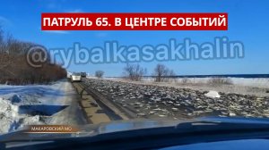 ПАТРУЛЬ 65. Банда браконьеров, навага на дороге и опасный лёд. Происшествия Сахалин и Курил 03.02.26