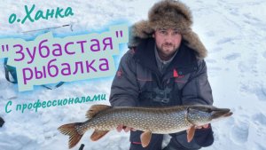 "Зубастая" рыбалка с профессионалами!!!