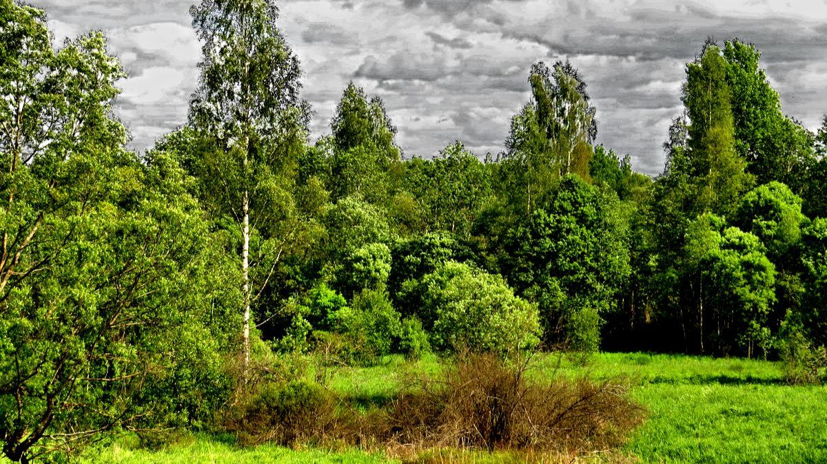 Разноцветные поля смотреть онлайн