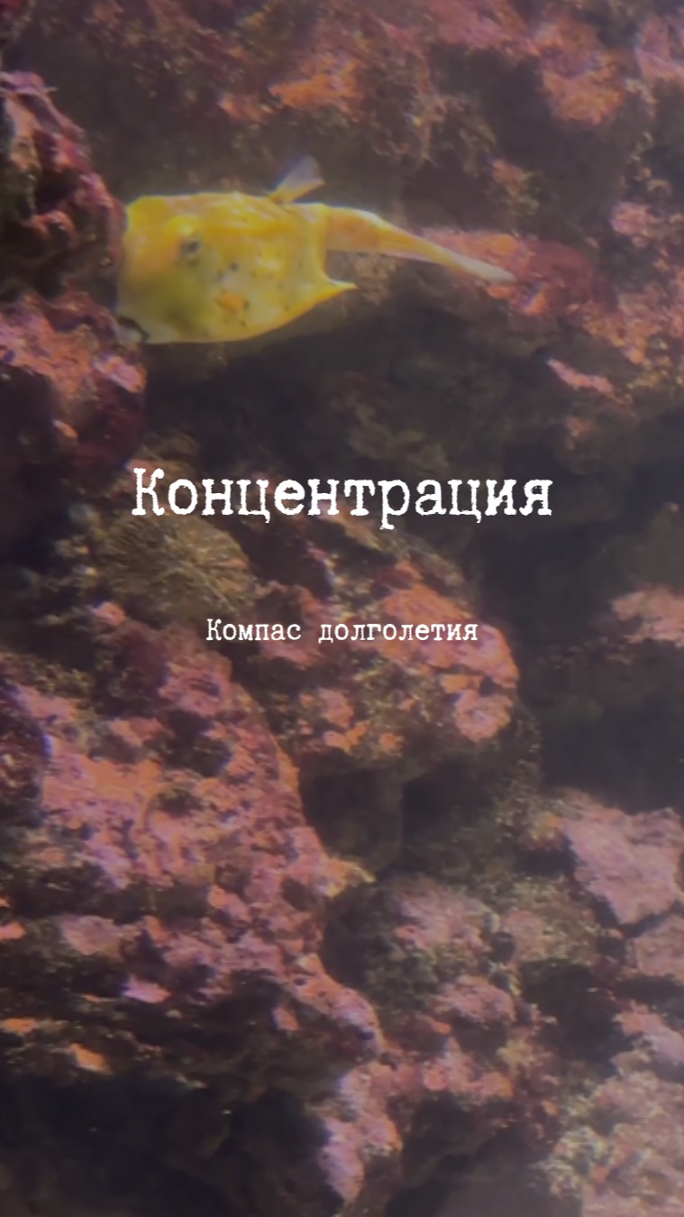 Дыхание для концентрации