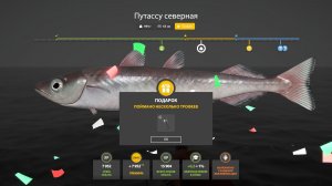 Русская Рыбалка 4 Трофей (Путассу северная) Норвежское море