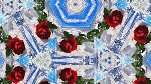 Розы в Зимнюю пору 2 от Киностудии Мудрого Кота Тимофея!