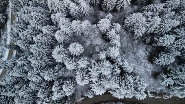 Начните февраль с удачи. Три числа, которые нельзя пропустить. смотреть онлайн