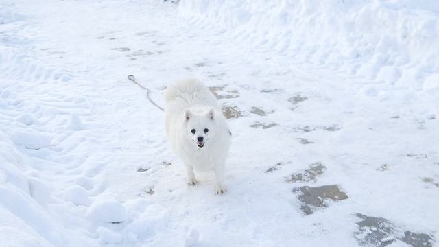Моя хорошечка моя прелесть