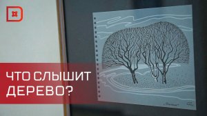 Выставка графики и текстов «Что слышит дерево?» открылась в Махачкале