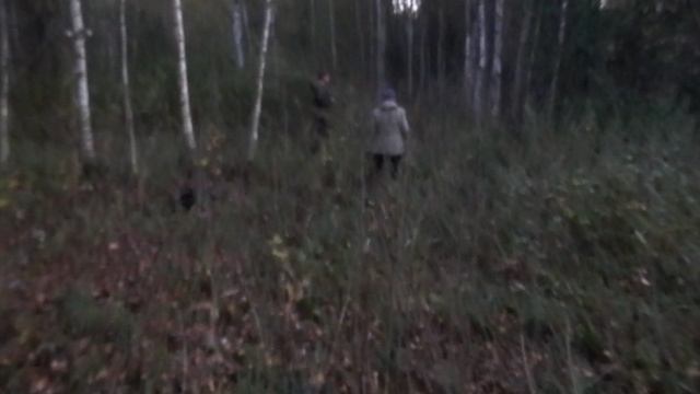 Собираем грибы 9 сентября 3 серия