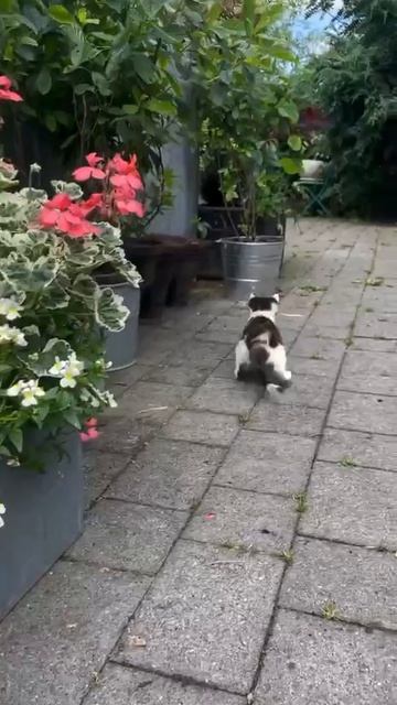 Любопытство!